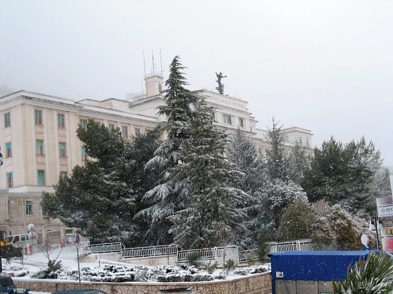A large institutional building and pine trees blanketed in fresh snow under a grey sky.