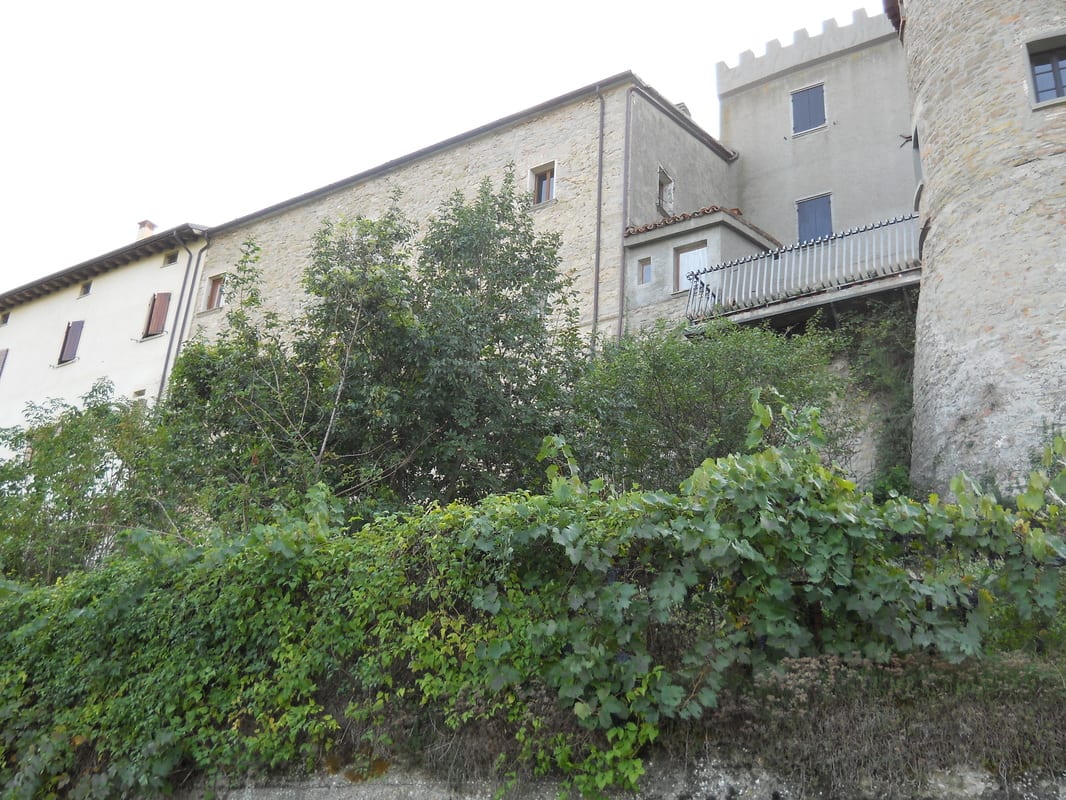 Exterior of a multi-storey stone building viewed from below, with dense ivy and shrubs covering the lower walls.