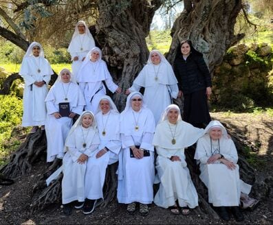 A group of approximately eleven sisters in white habits posing in front of a large ancient olive tree, with hills and scrubland visible behind them.