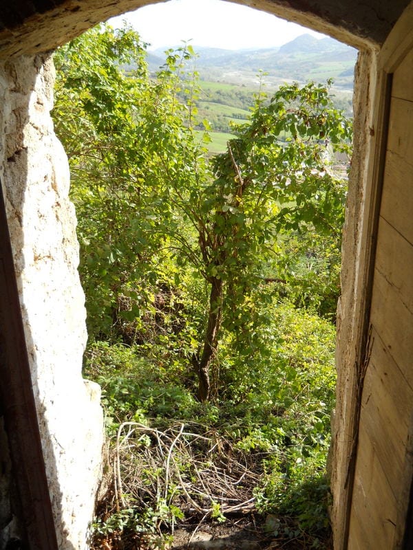 View through a crumbling stone window opening onto dense overgrown trees and a valley landscape beyond.