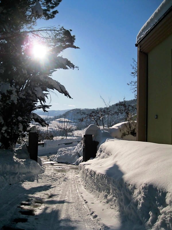 Sunlight breaking through bare branches onto a snow-covered path running alongside a building, with a valley and clear blue sky beyond.