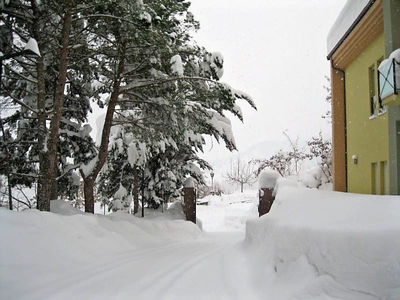 Deep snow piled along the side of a building, with heavily laden pine trees beyond a garden fence.
